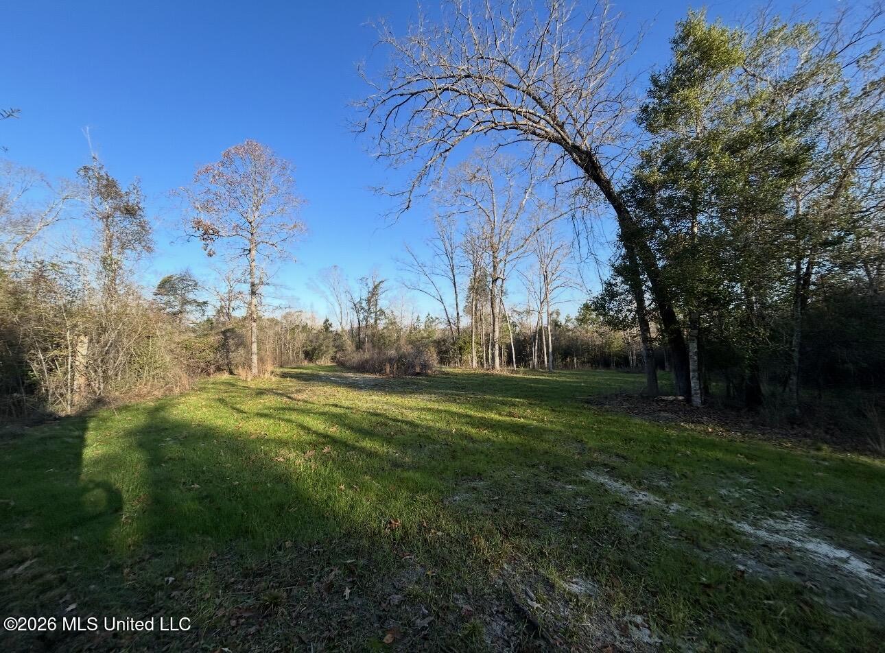 56 Dogwood Drive Property Photo 6