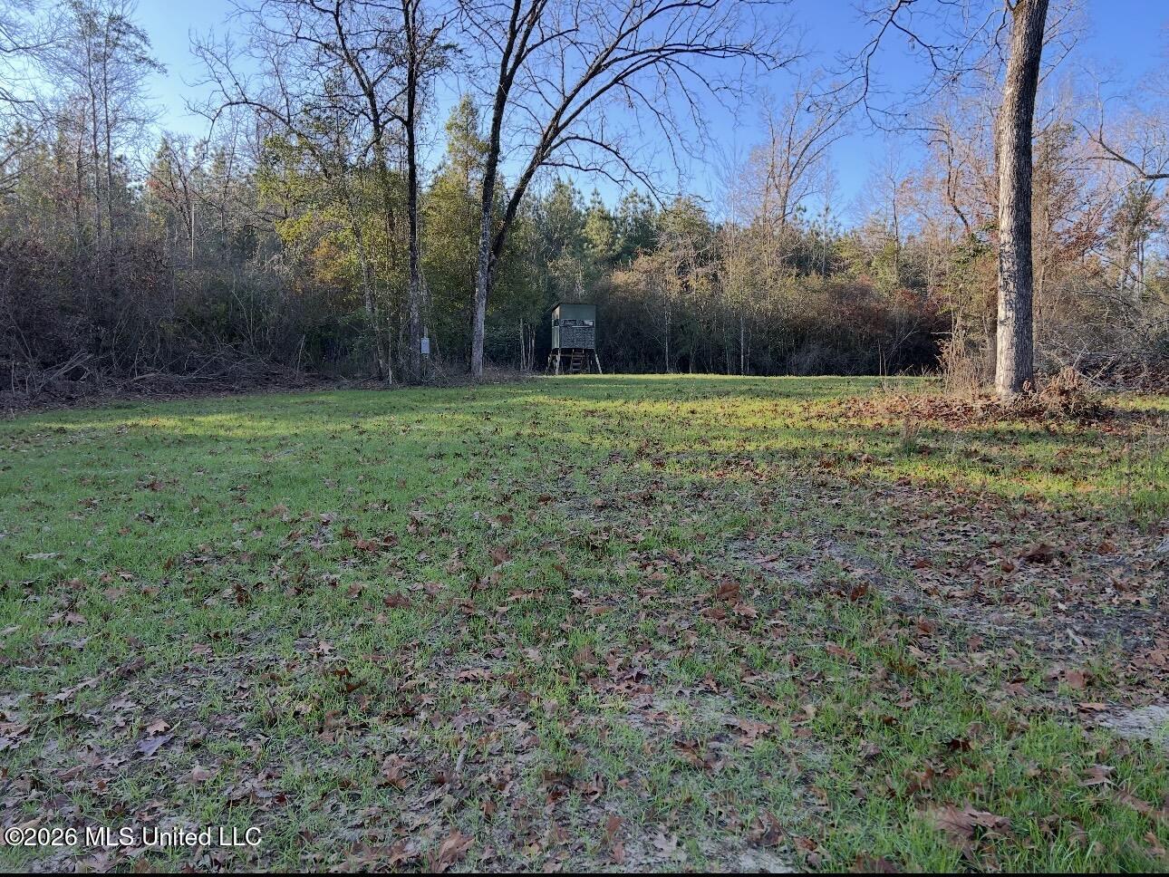 56 Dogwood Drive Property Photo 7
