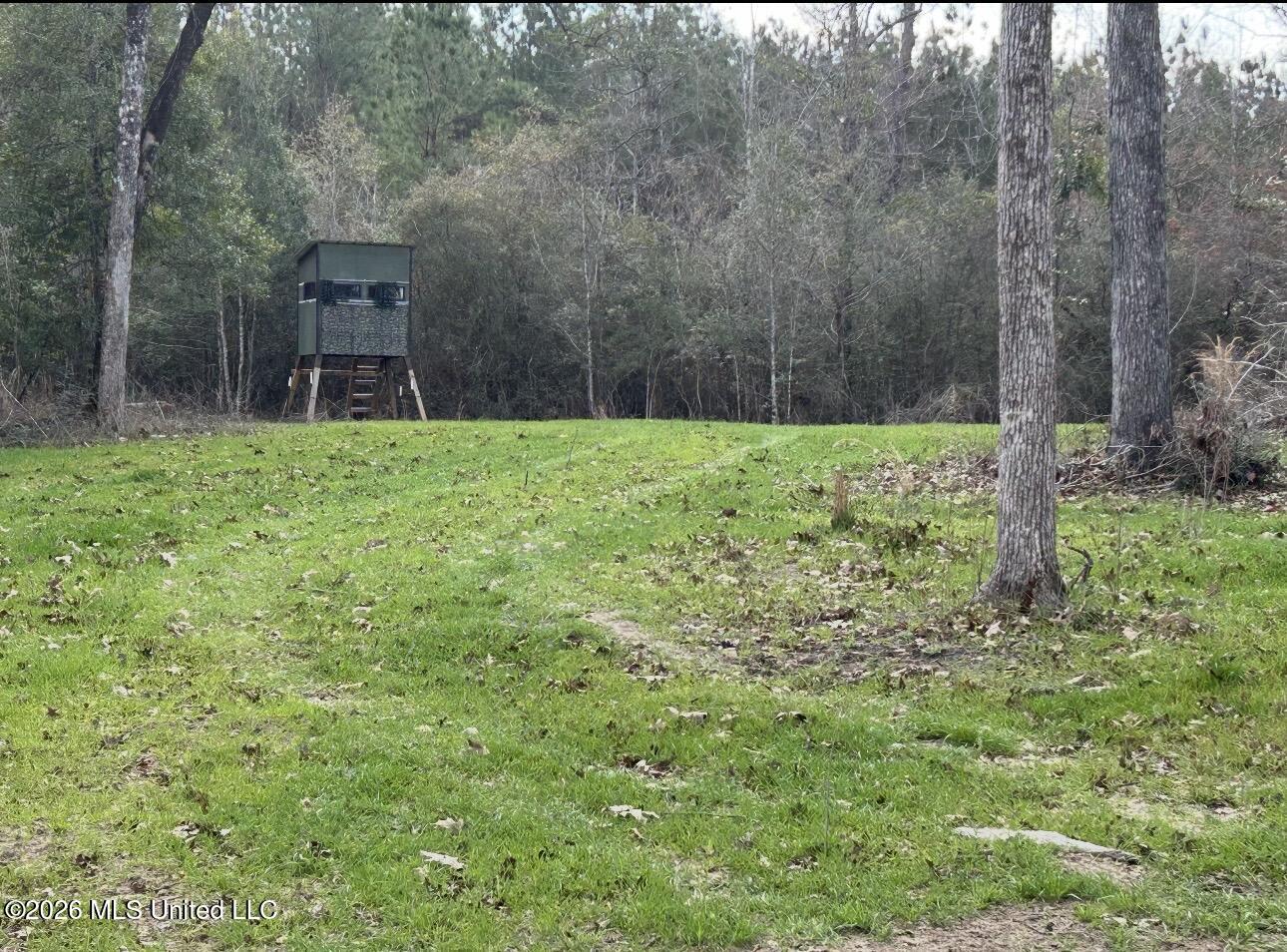 56 Dogwood Drive Property Photo 11