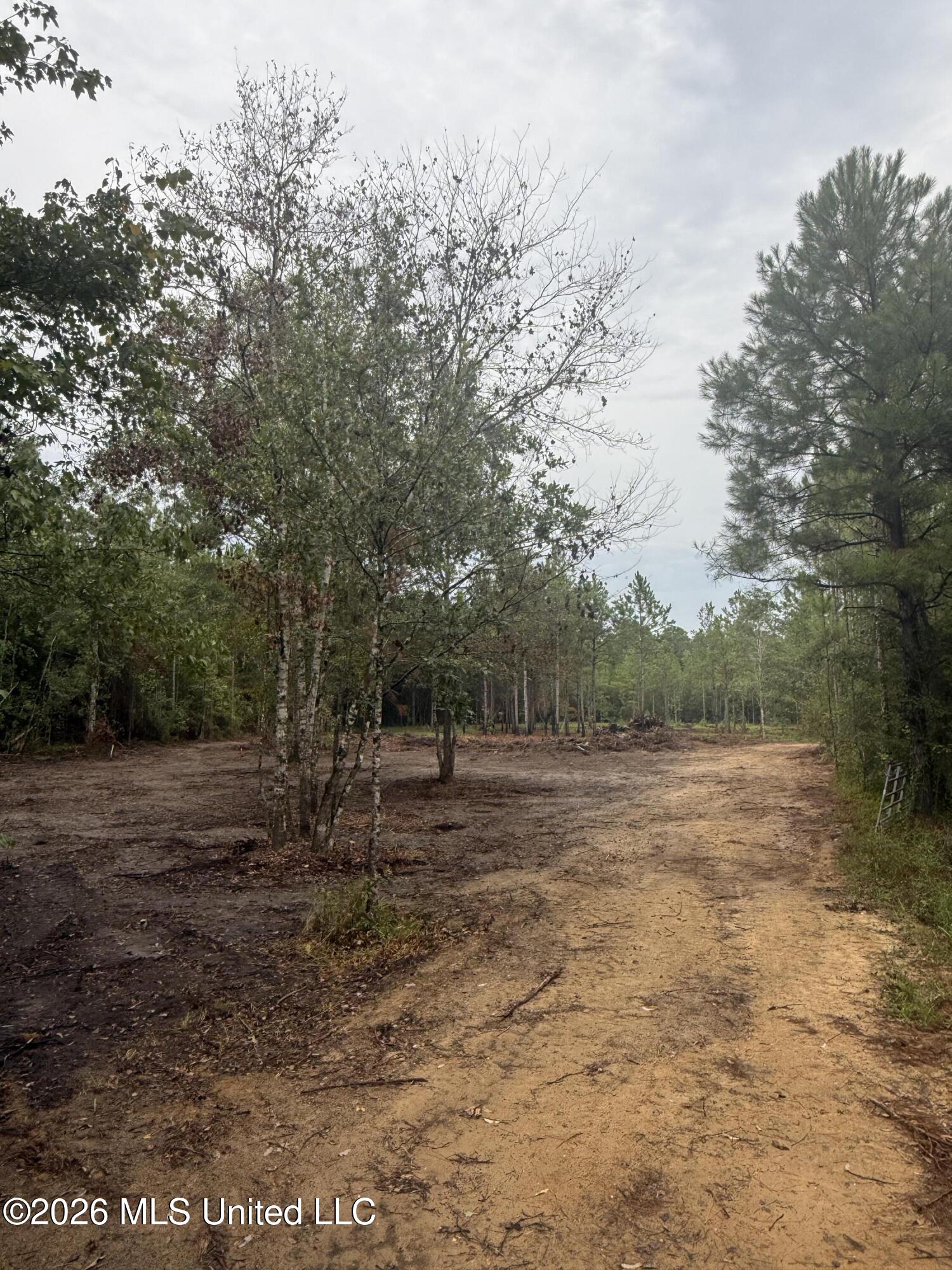 Nhn Dap Road Property Photo 3