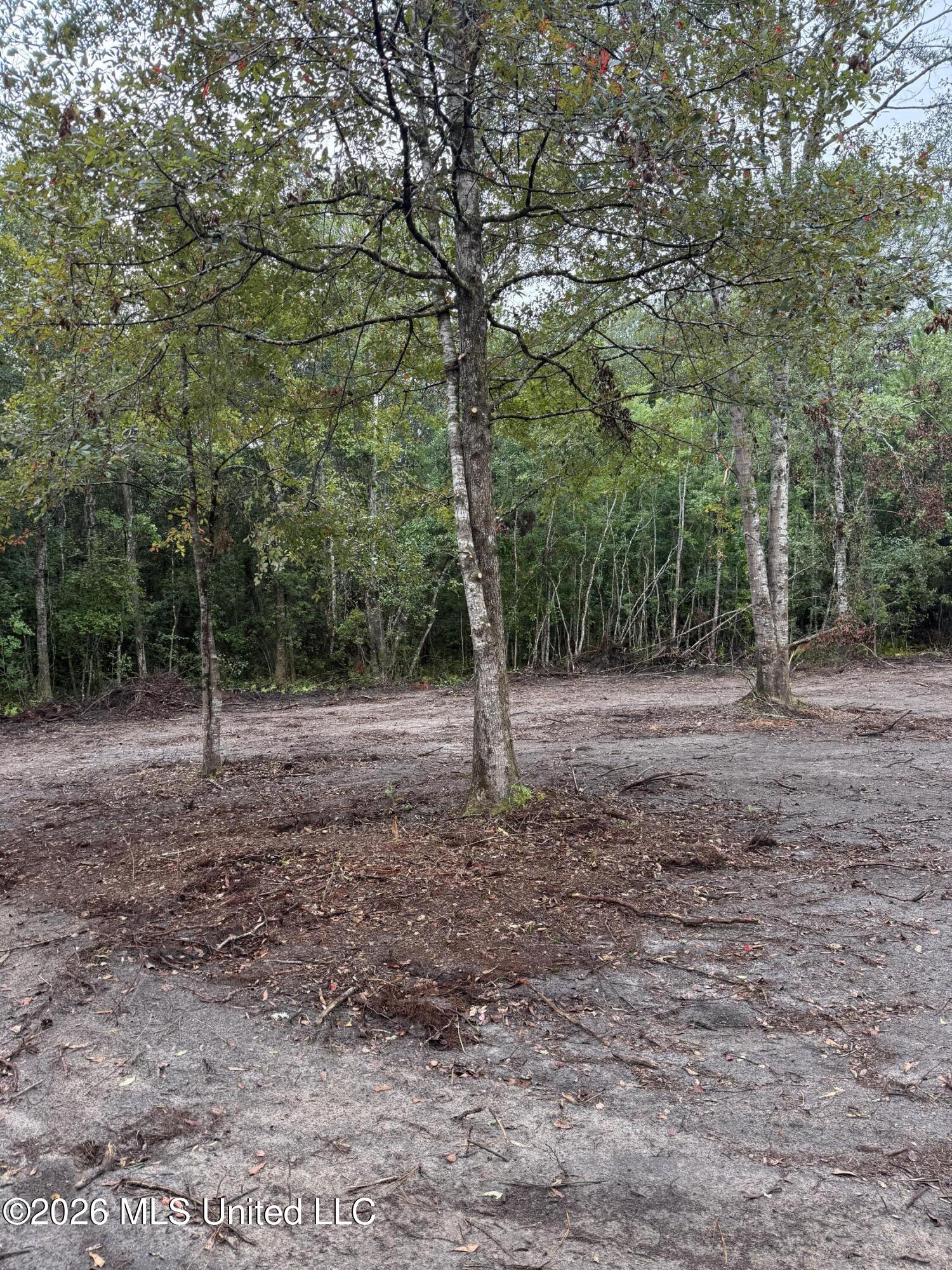 Nhn Dap Road Property Photo 6