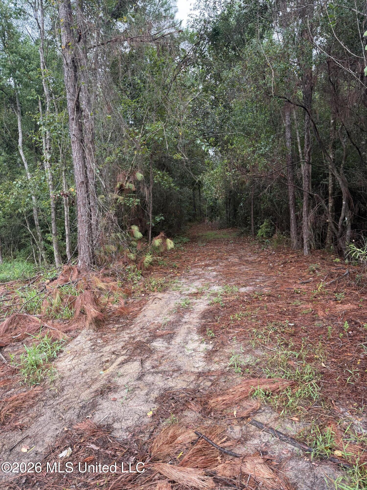 Nhn Dap Road Property Photo 14