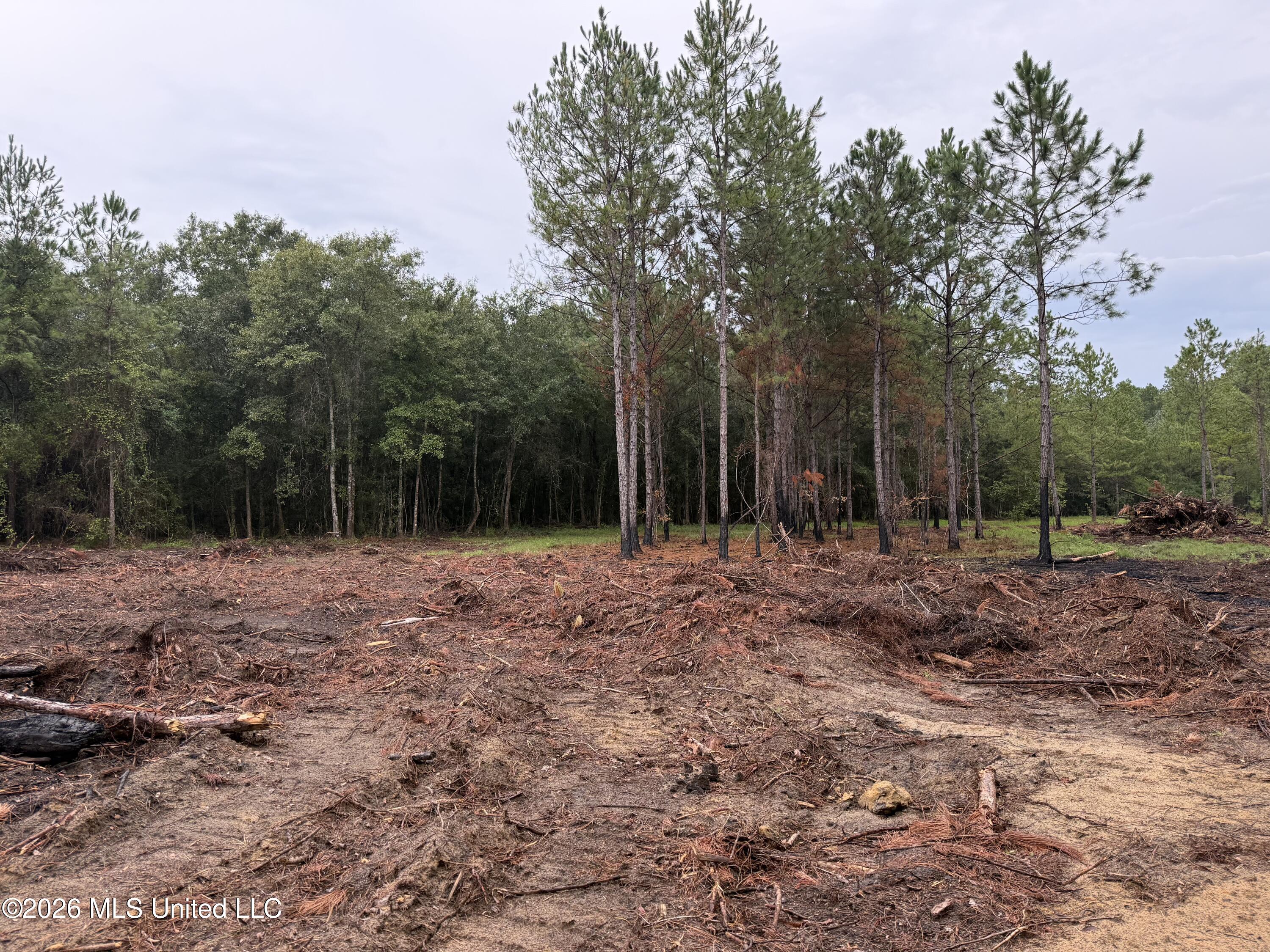 Nhn Dap Road Property Photo 15