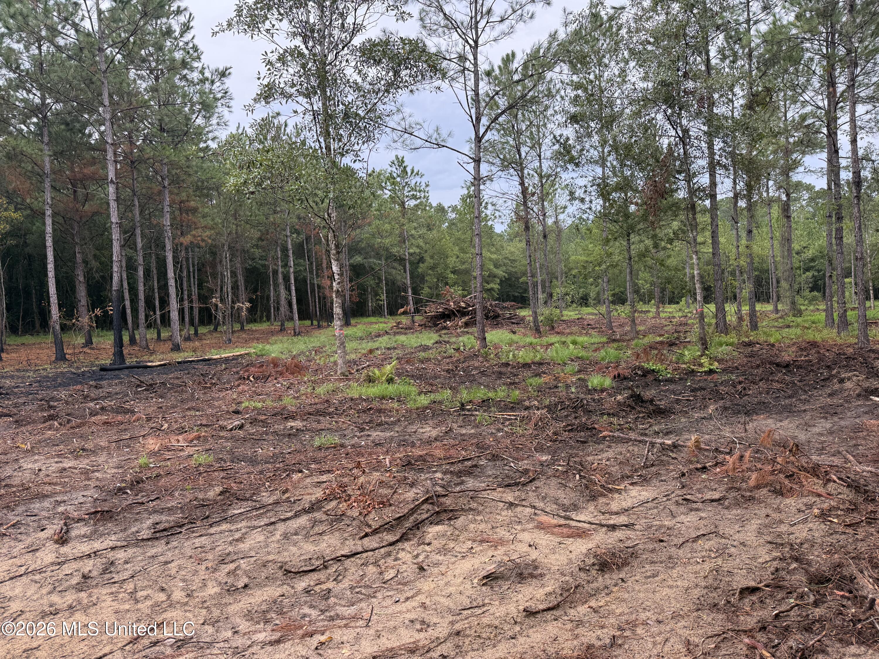 Nhn Dap Road Property Photo 16