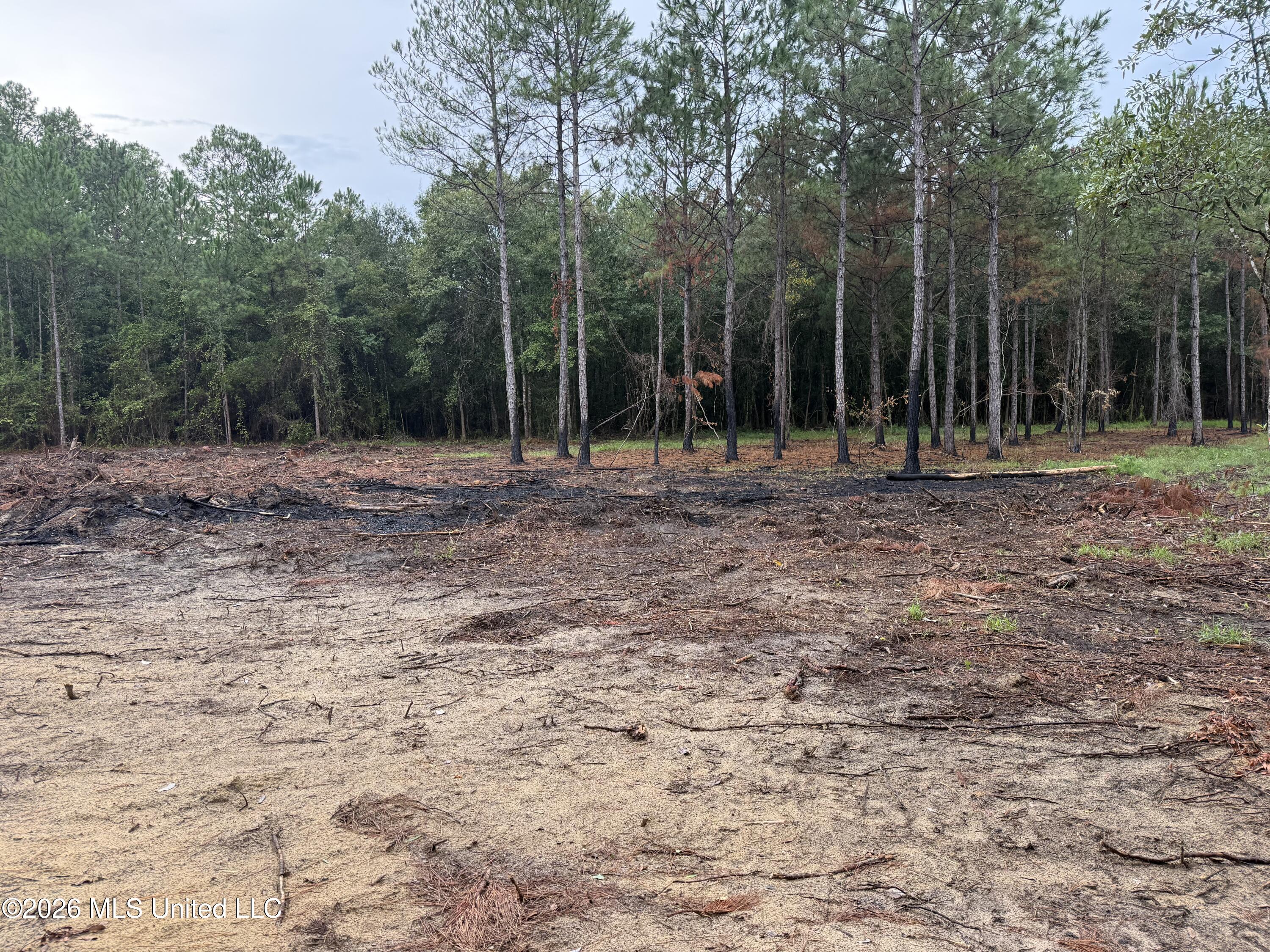 Nhn Dap Road Property Photo 17