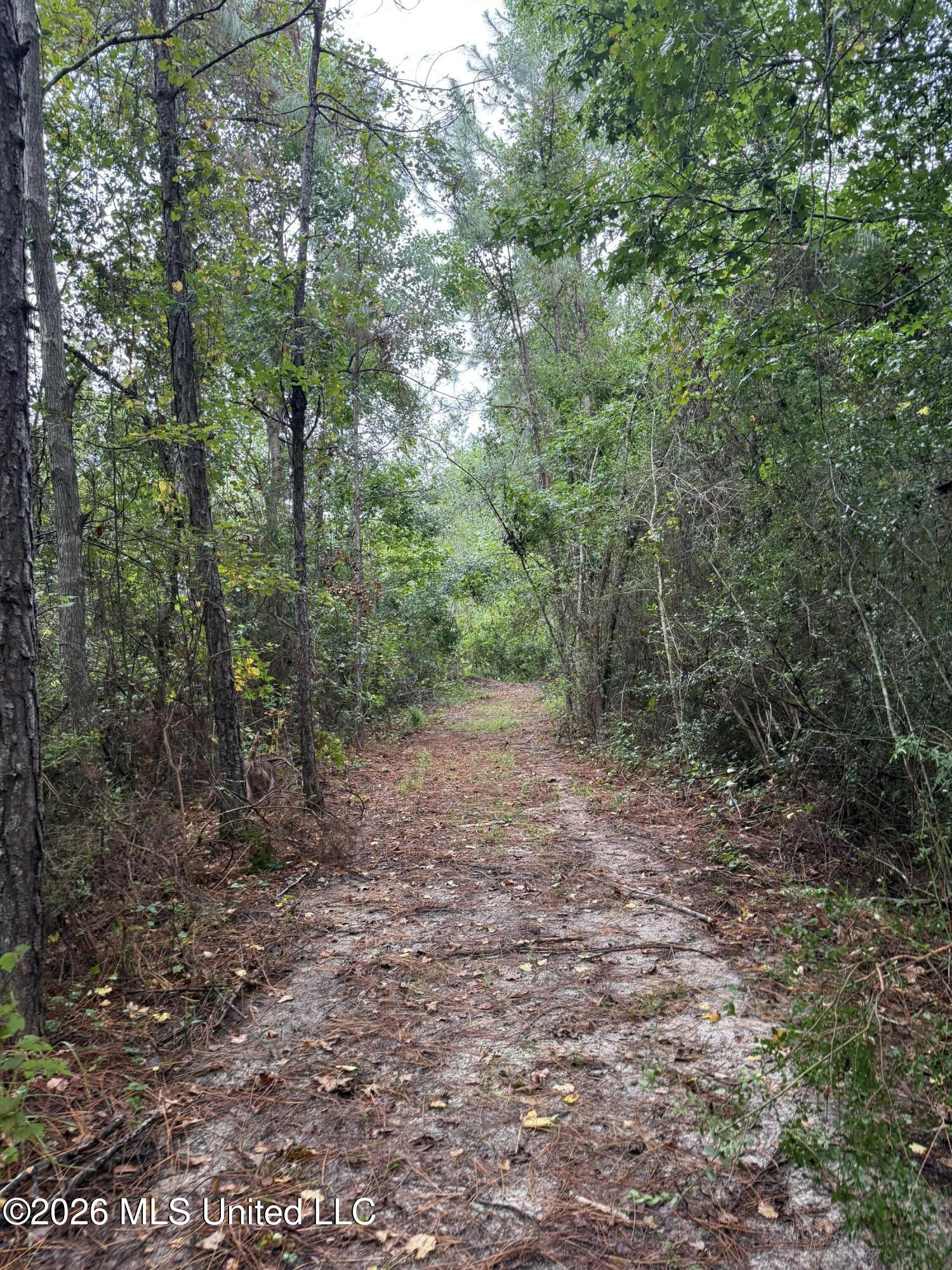 Nhn Dap Road Property Photo 18