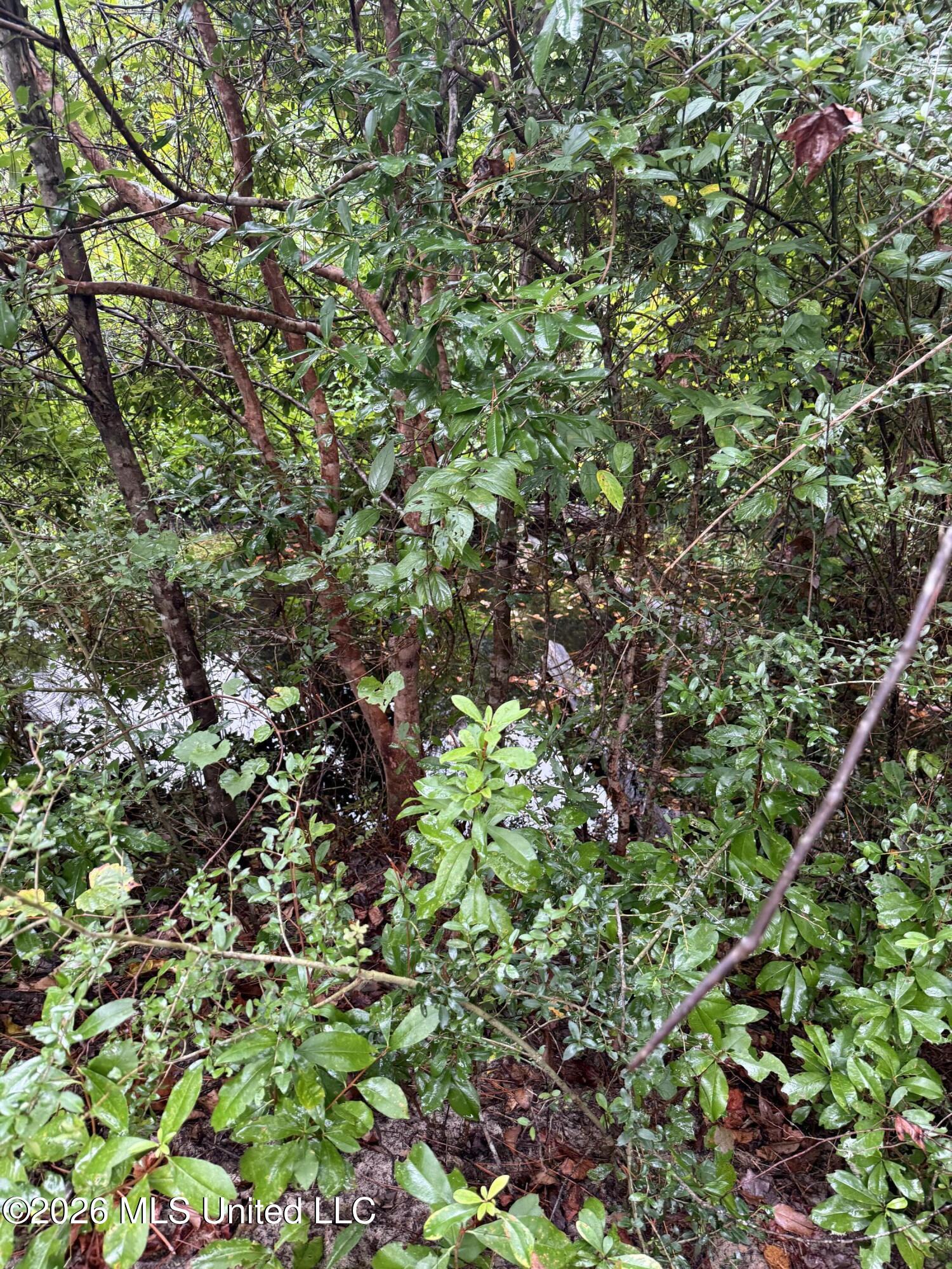 Nhn Dap Road Property Photo 19