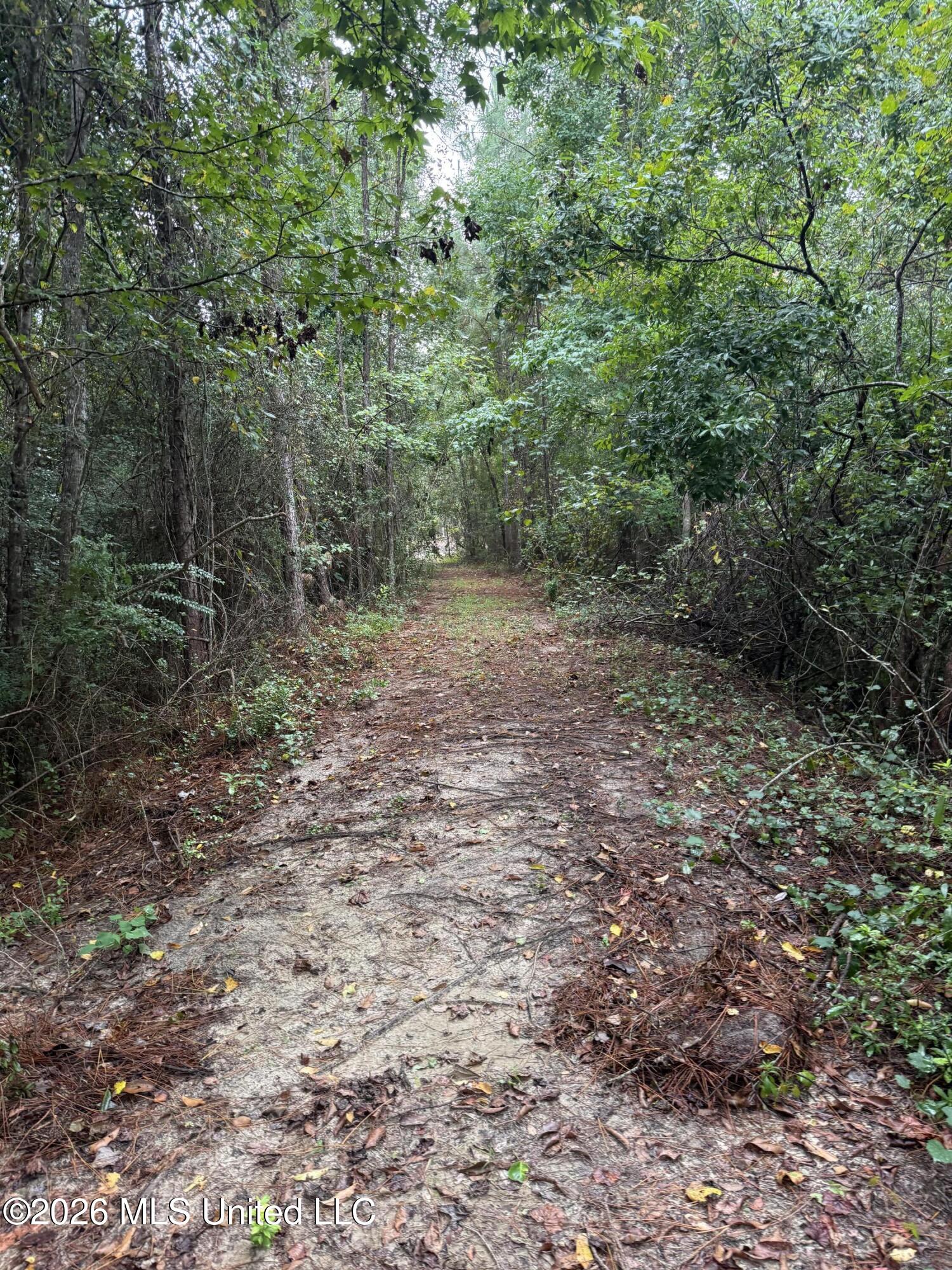 Nhn Dap Road Property Photo 22