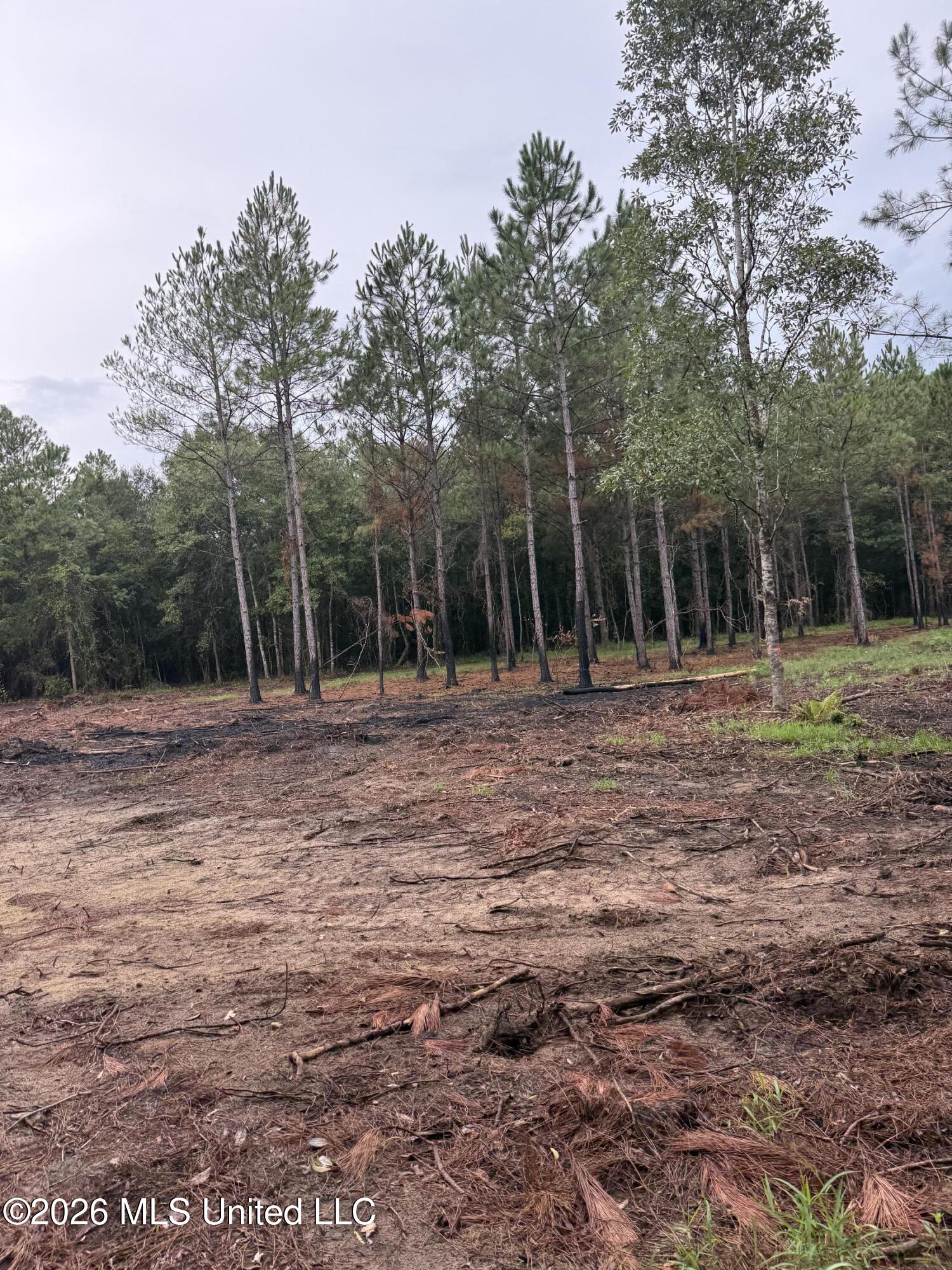 Nhn Dap Road Property Photo 23