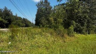 Three Rivers Road Property Photo 2