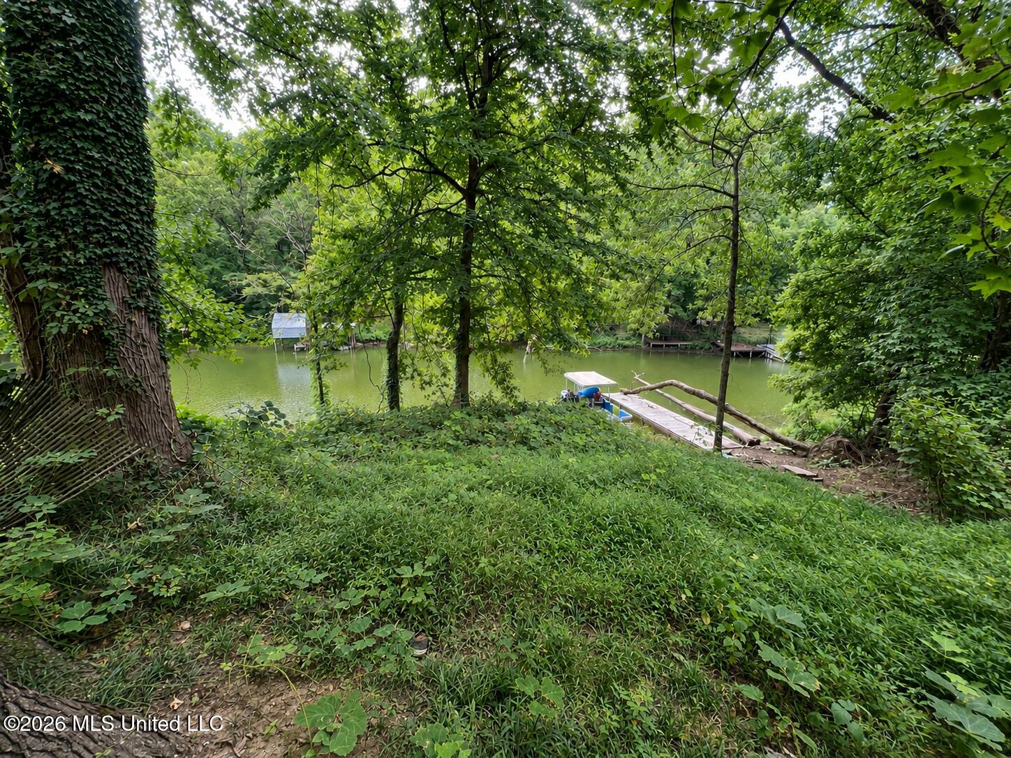 3256 Monans Rill Cove Property Photo 17