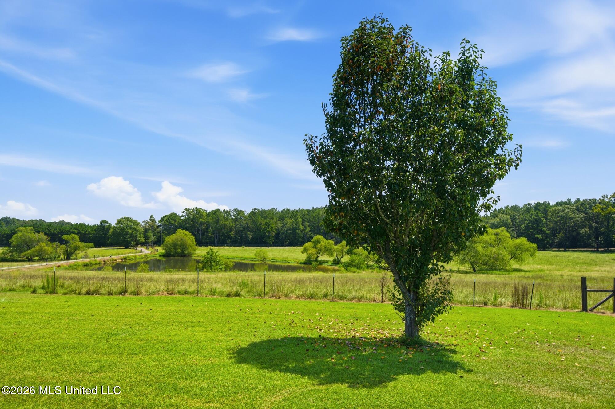 174 Watermelon Road Property Photo 32