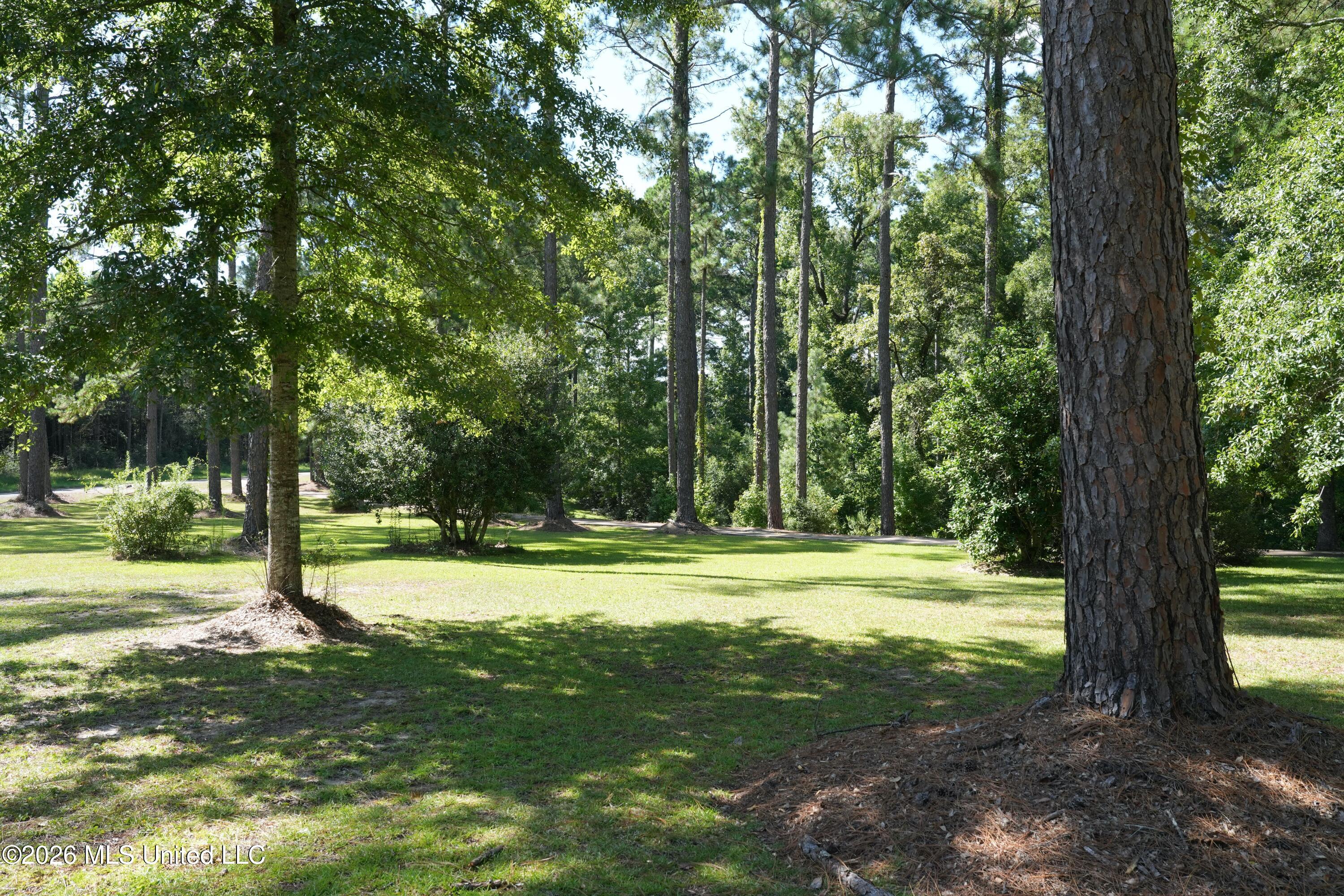 1140 Irene Road Property Photo 9