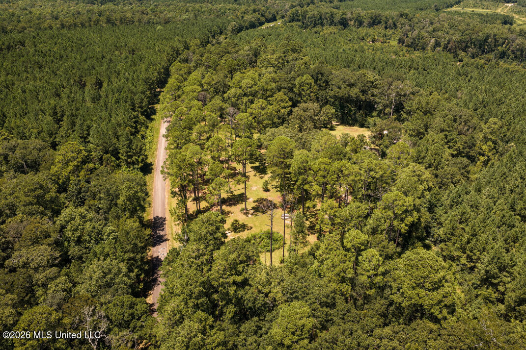 1140 Irene Road Property Photo 43