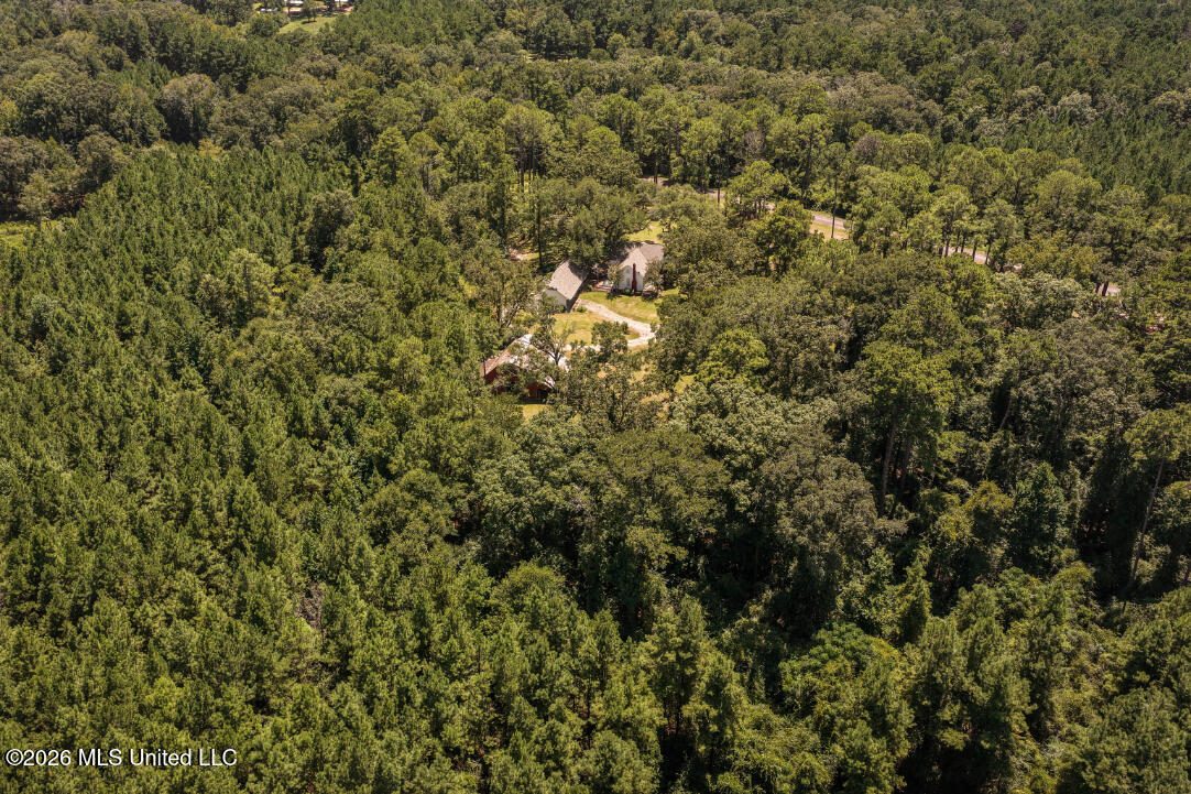 1140 Irene Road Property Photo 45