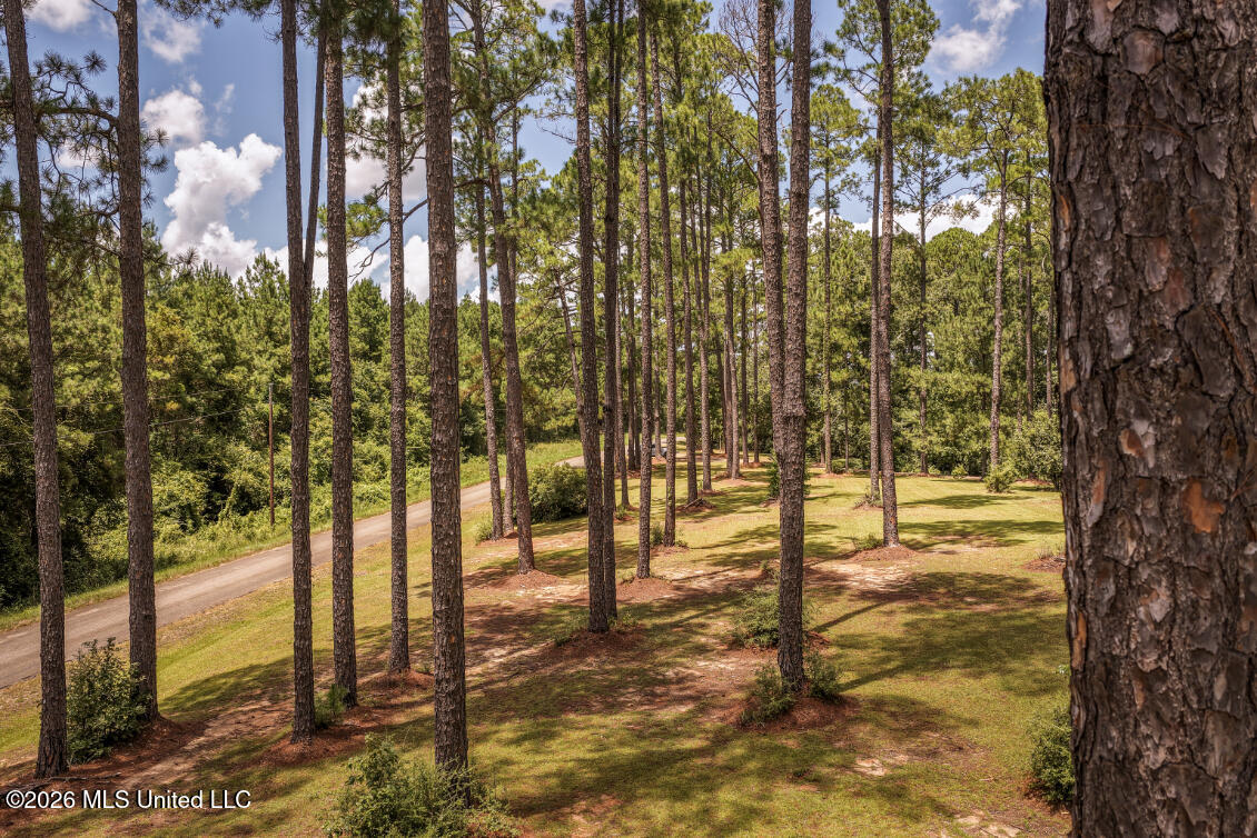 1140 Irene Road Property Photo 47