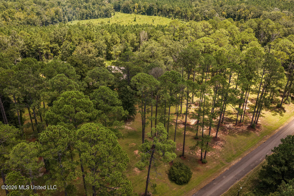 1140 Irene Road Property Photo 50