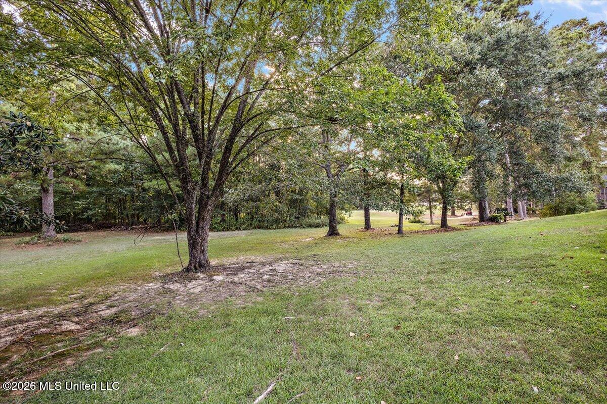 423 Woodlands Circle Property Photo 29