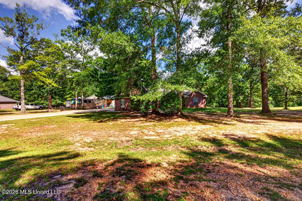 91 Cedar Wood Drive Property Photo 4