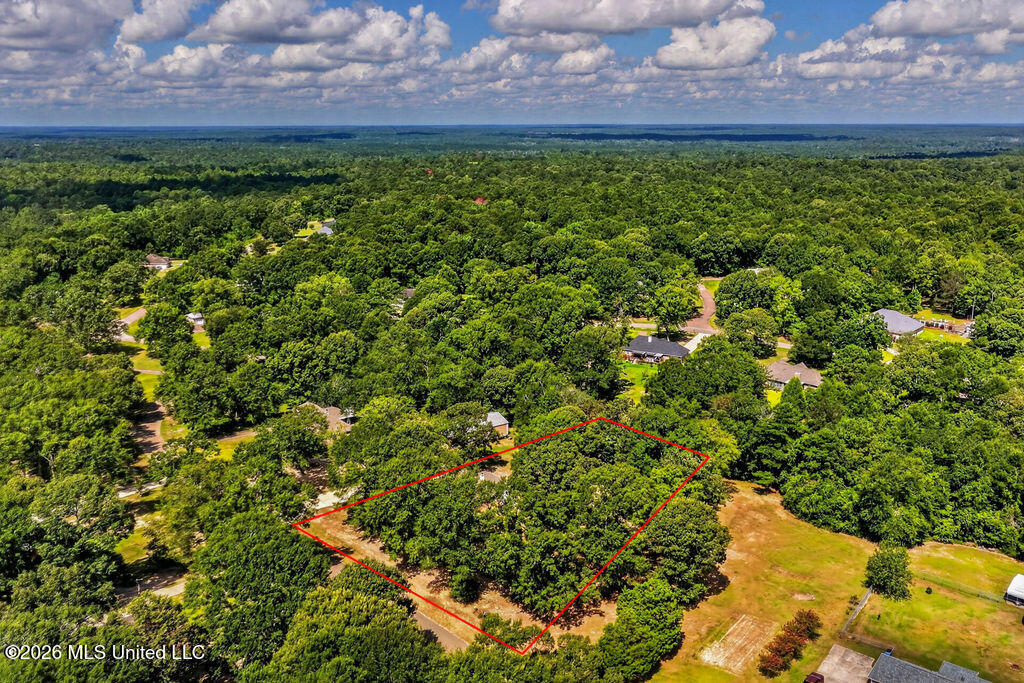 91 Cedar Wood Drive Property Photo 41