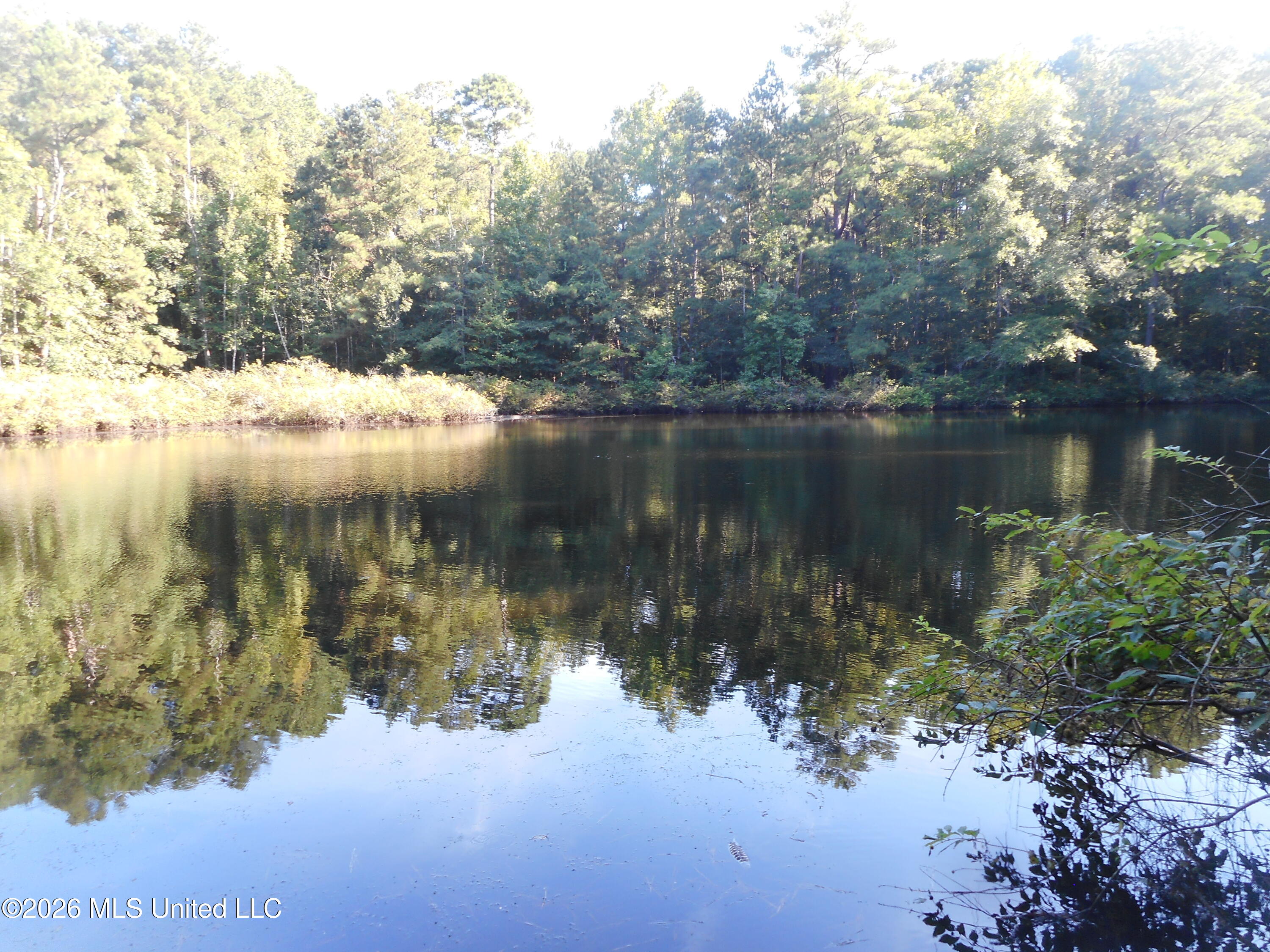 Mississippi 15 Property Photo 1