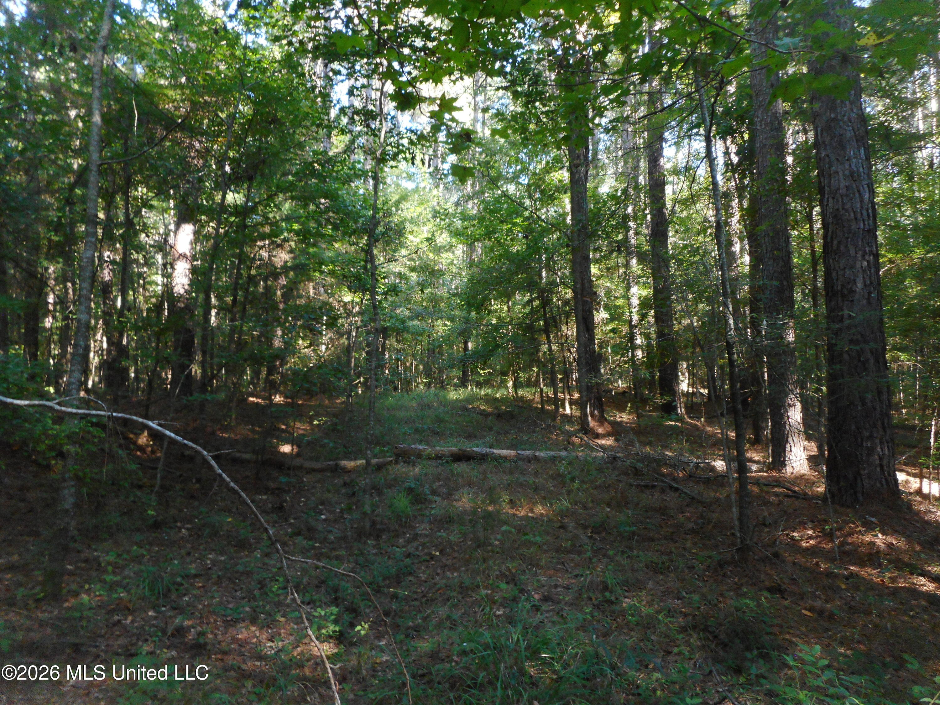 Mississippi 15 Property Photo 3