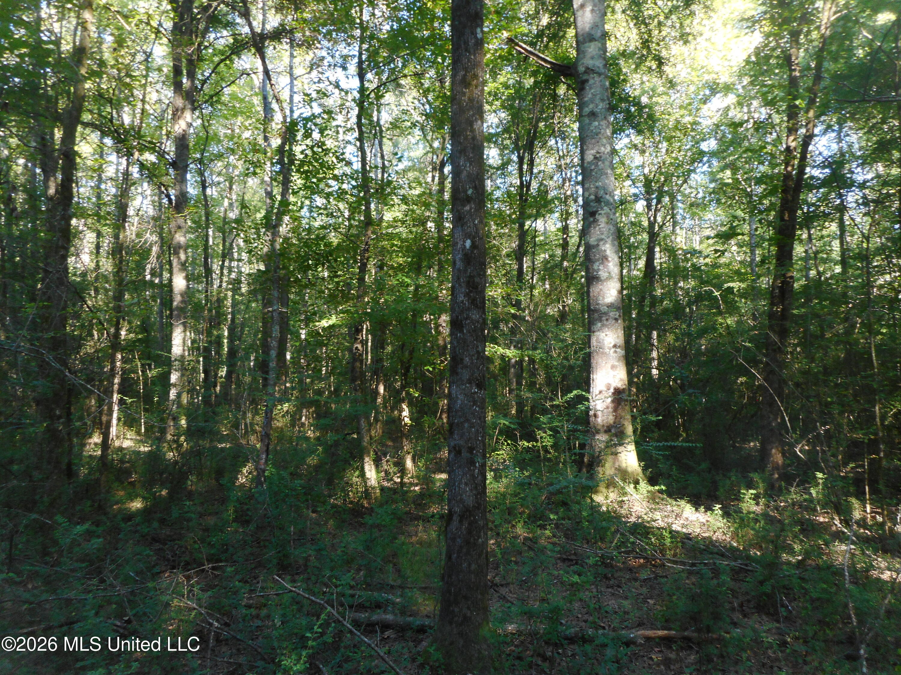 Mississippi 15 Property Photo 10