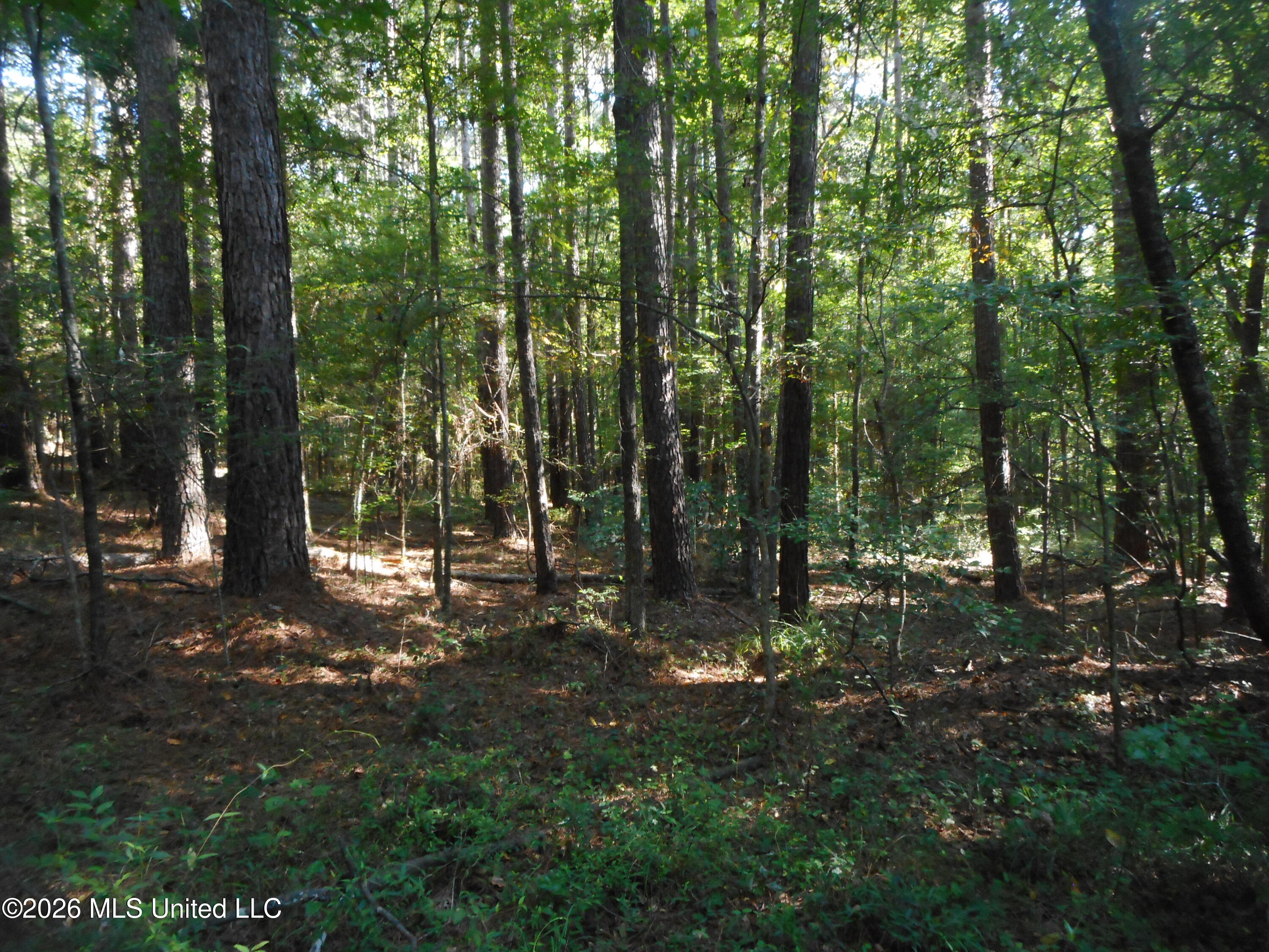 Mississippi 15 Property Photo 11