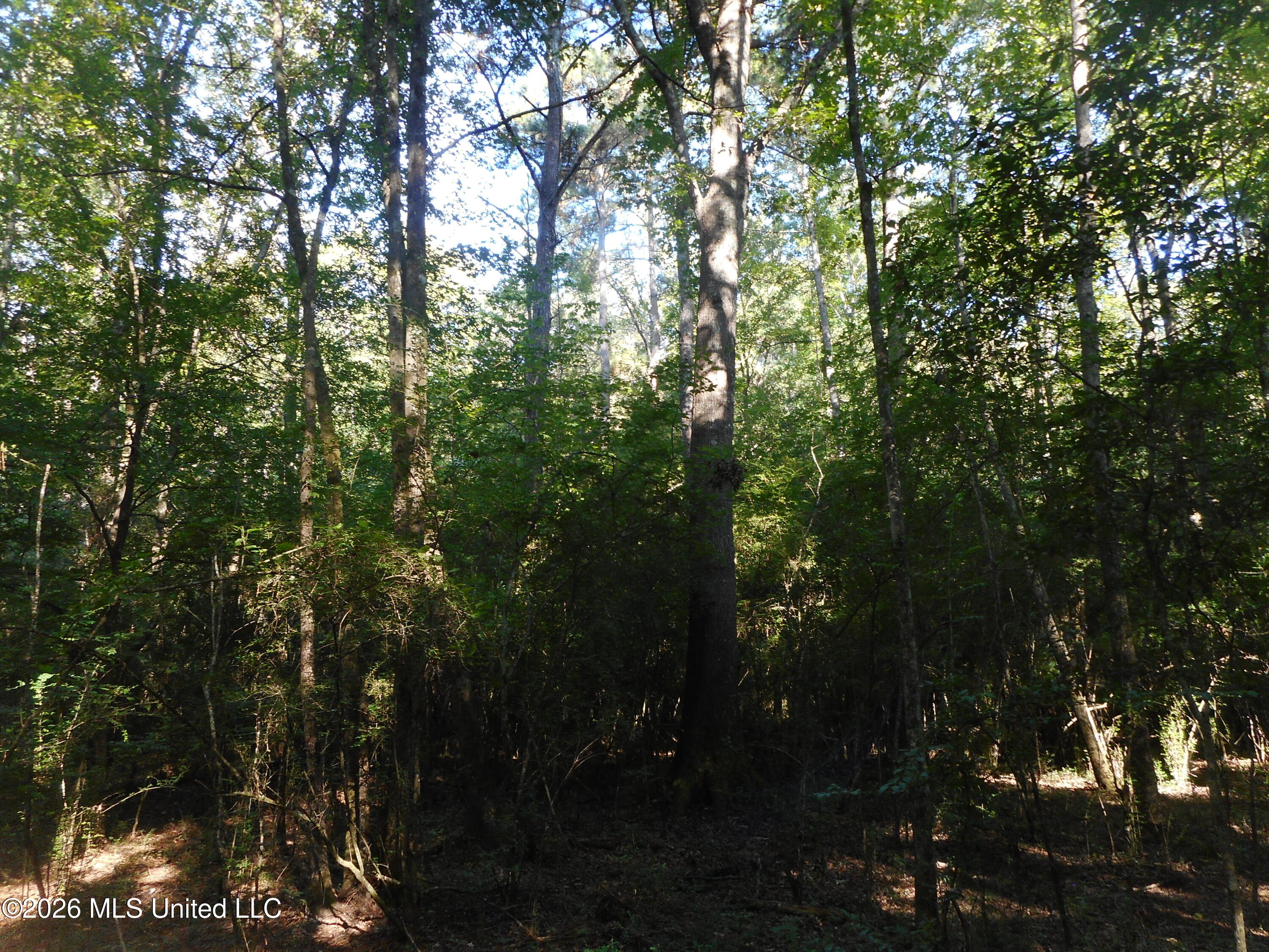 Mississippi 15 Property Photo 16