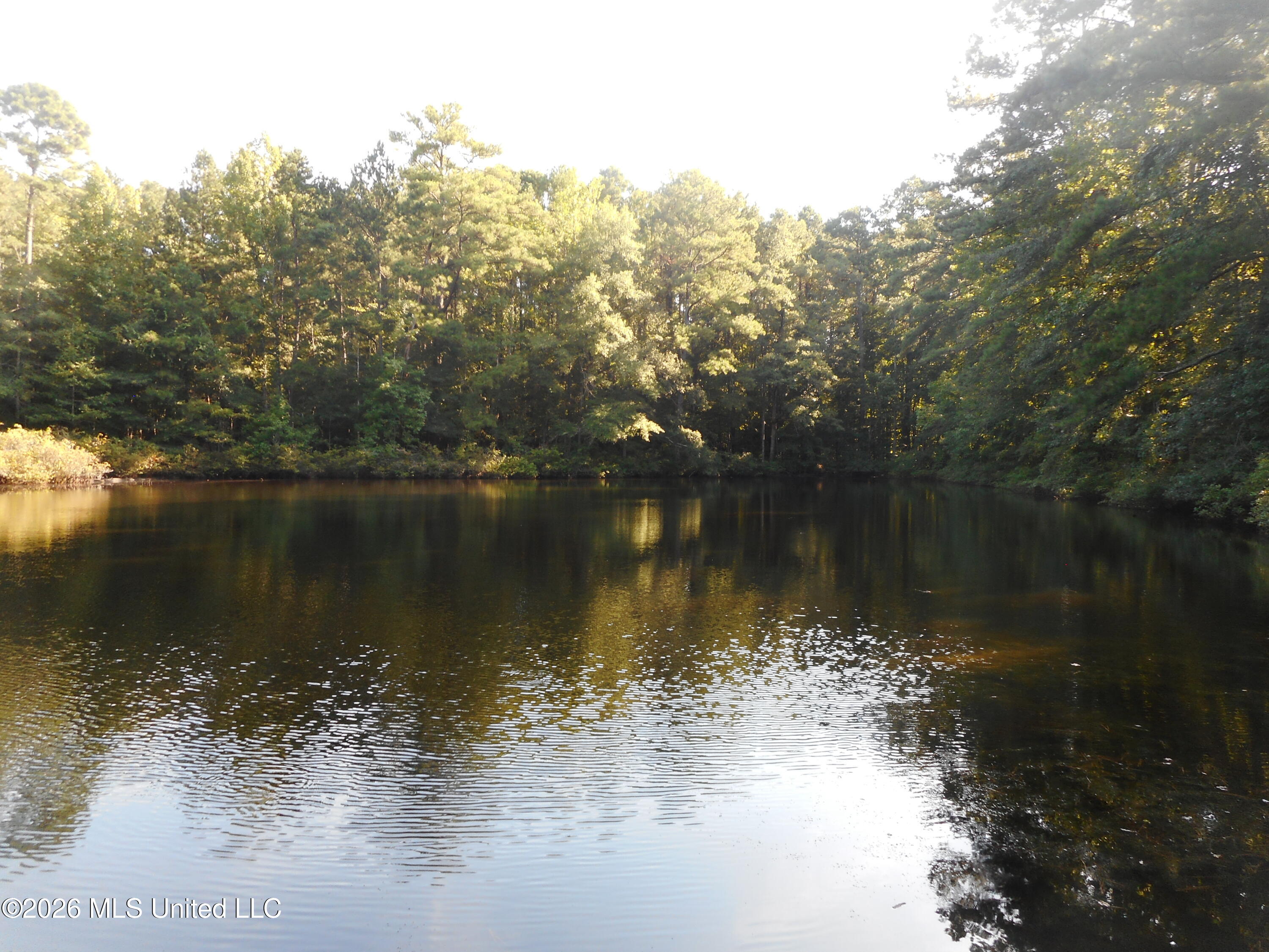 Mississippi 15 Property Photo 19