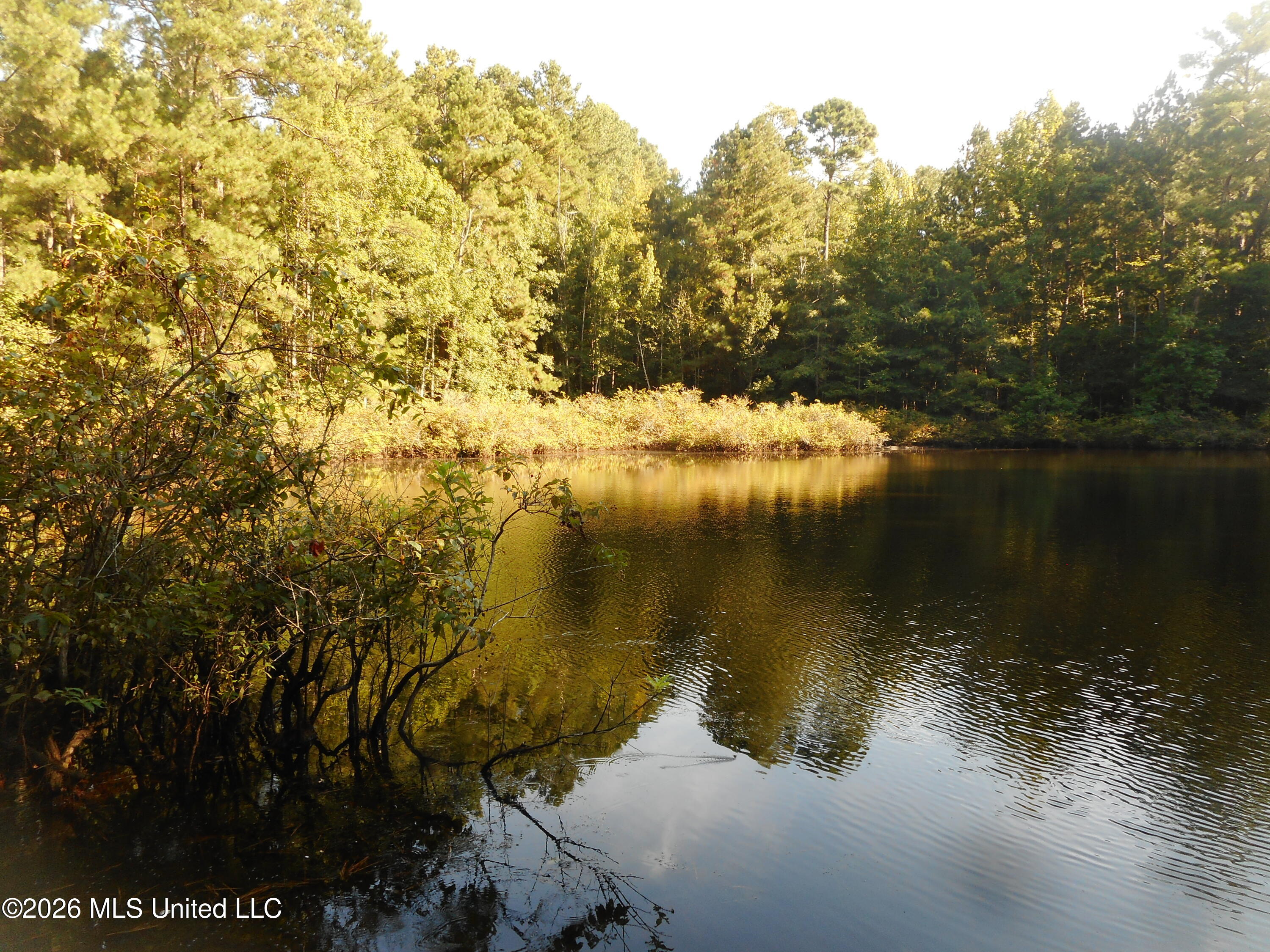 Mississippi 15 Property Photo 20