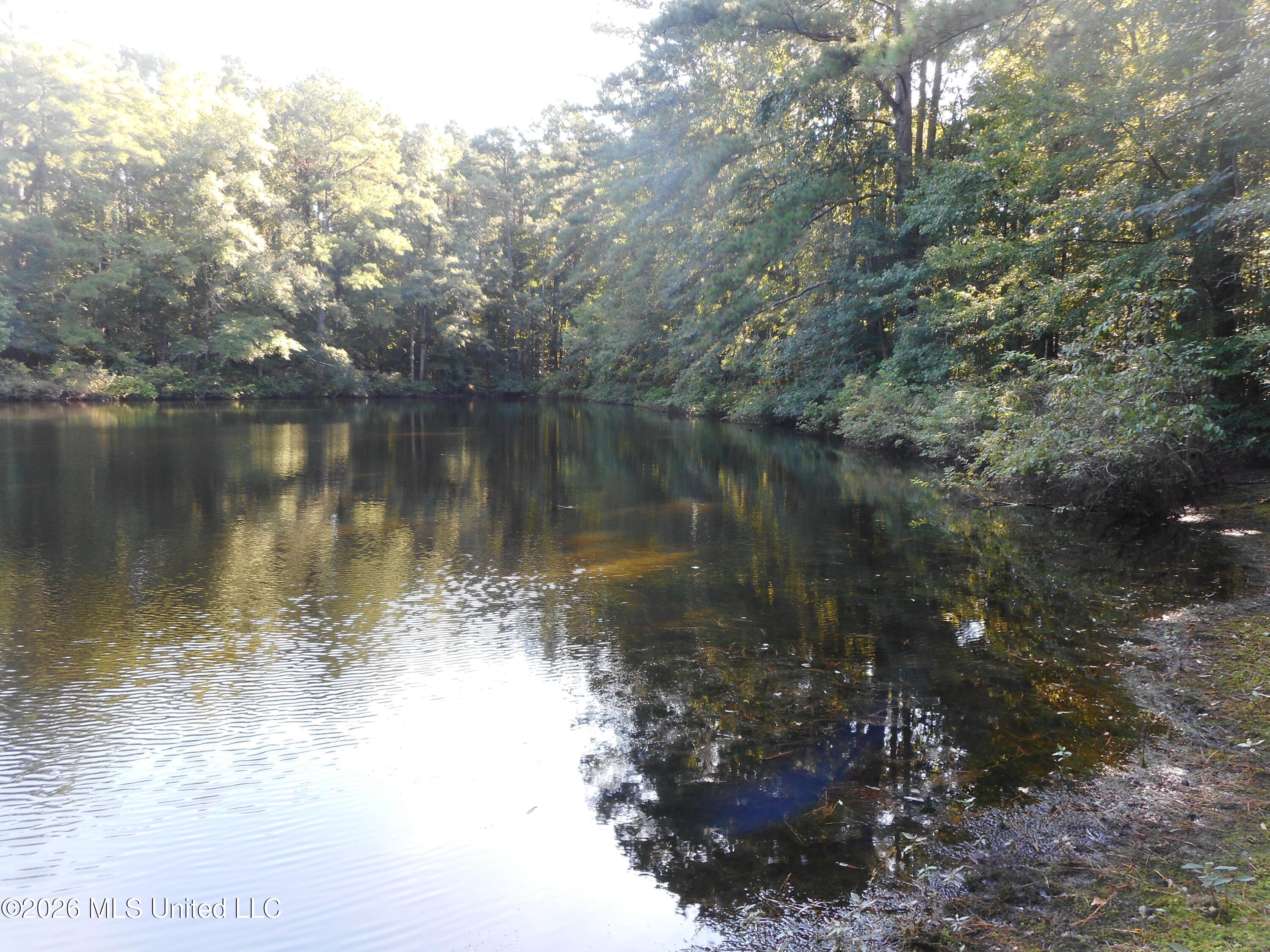 Mississippi 15 Property Photo 22