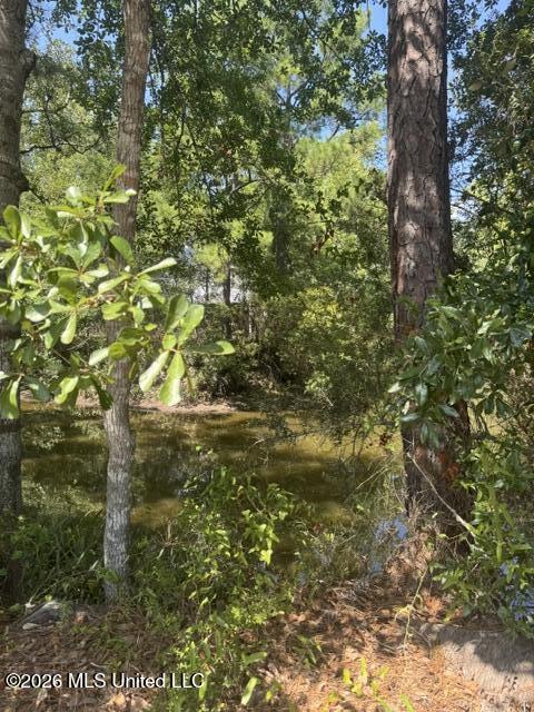 11044 Lake Drive Property Photo 2
