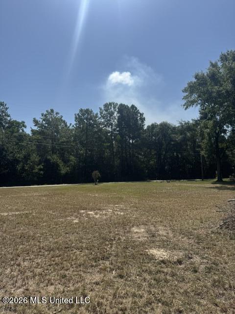 11044 Lake Drive Property Photo 3