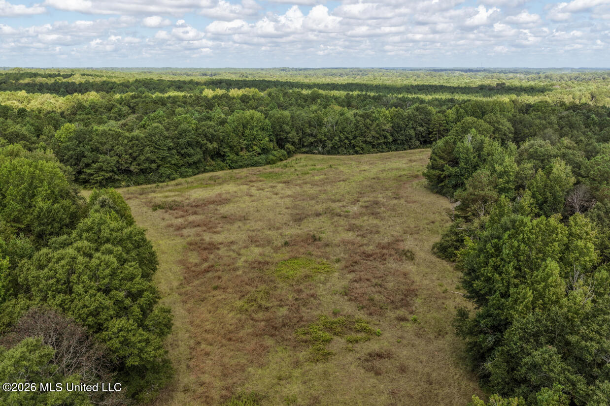 Craft Road Property Photo 16