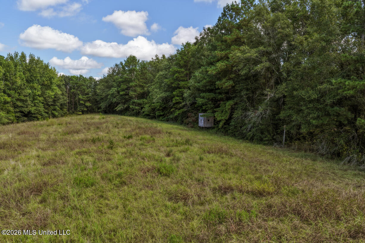 Craft Road Property Photo 18
