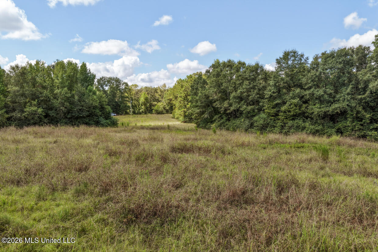 Craft Road Property Photo 19