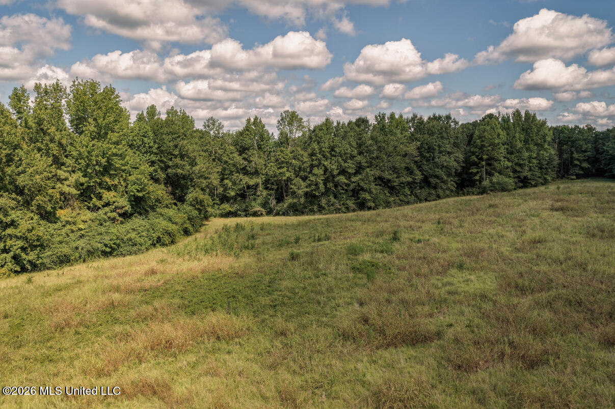 Craft Road Property Photo 24