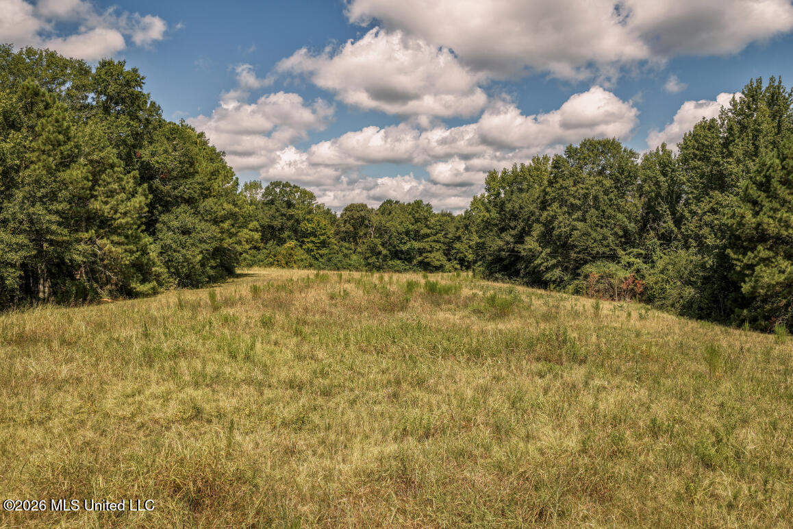 Craft Road Property Photo 26
