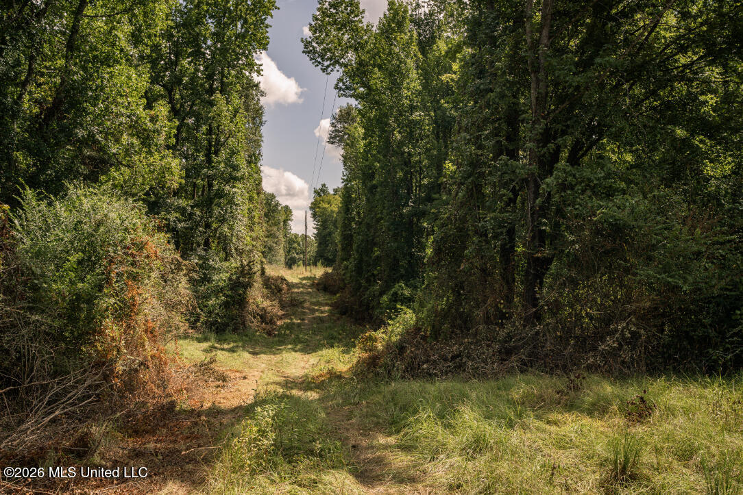 Craft Road Property Photo 30