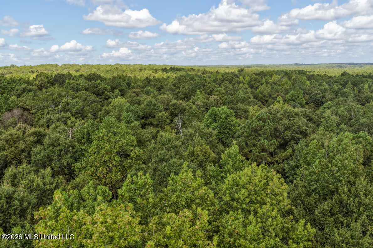 Craft Road Property Photo 35