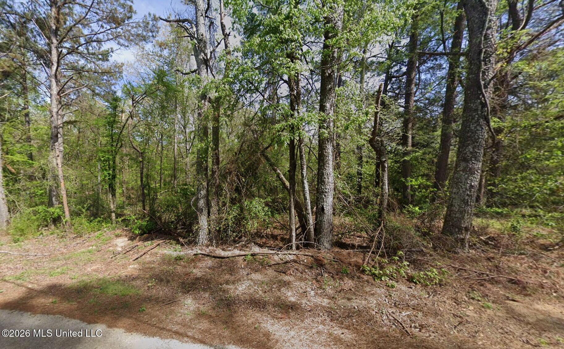 5 Co Rd 521 Property Photo 2