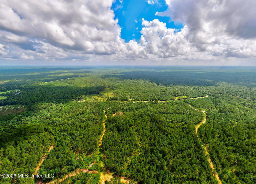 Nhn Lot 9 Bethel Road Property Photo 11