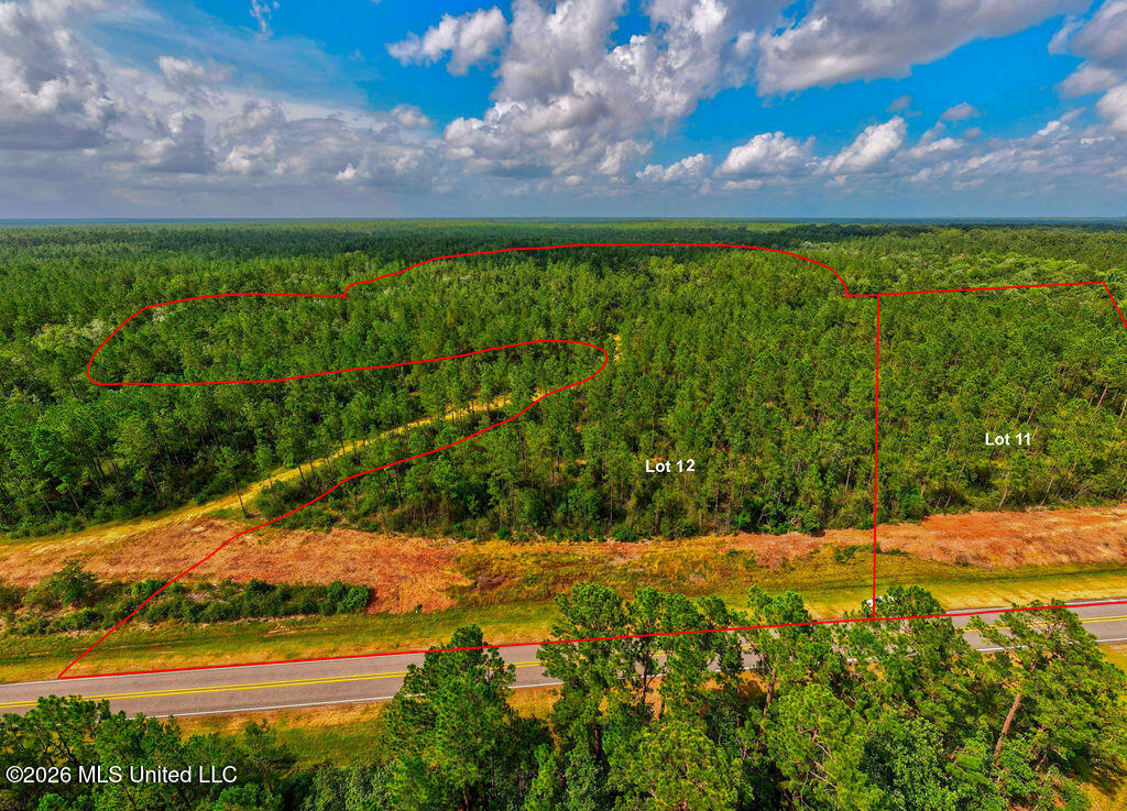 Nhn Lot 9 Bethel Road Property Photo 35