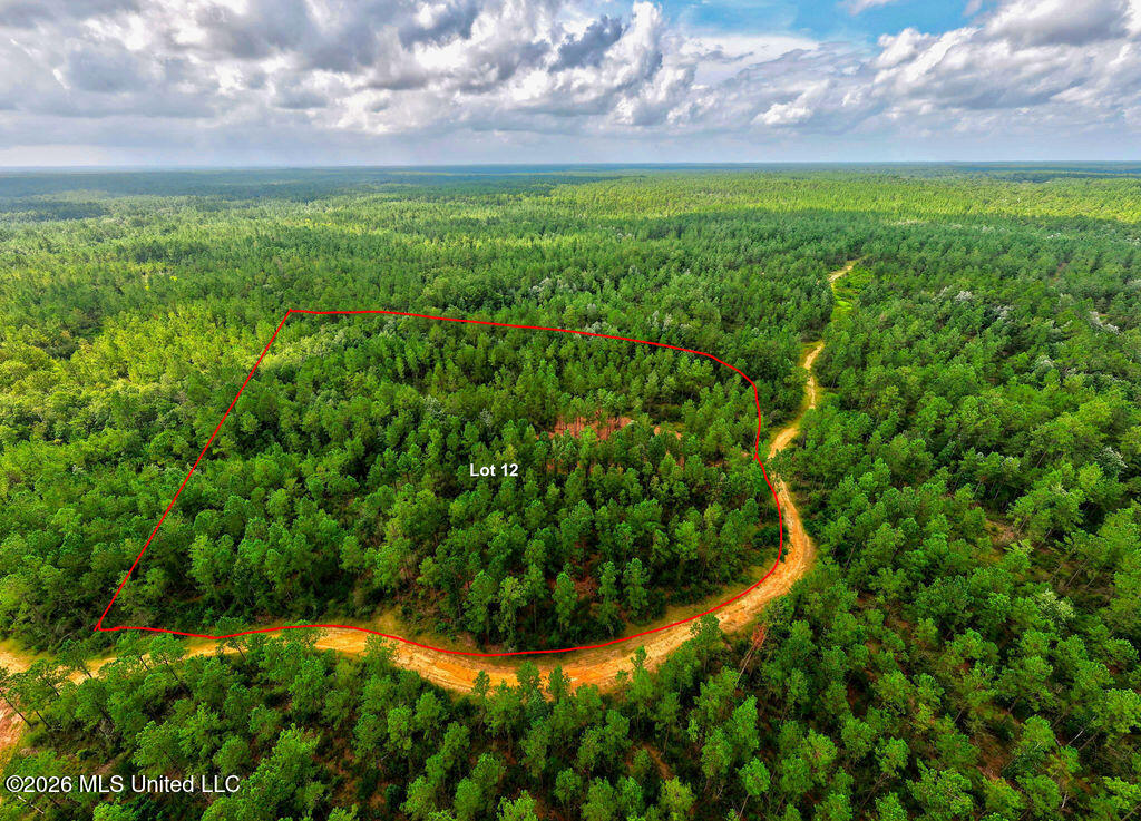 Nhn Lot 9 Bethel Road Property Photo 38