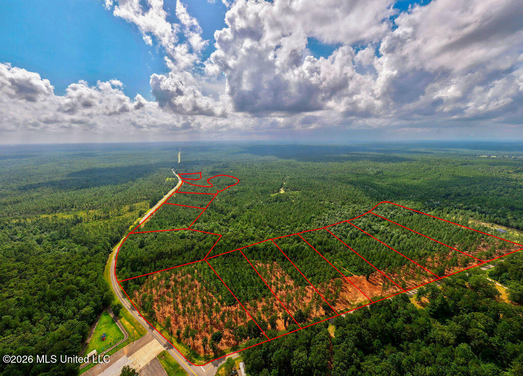Nhn Lot 9 Bethel Road Property Photo 43