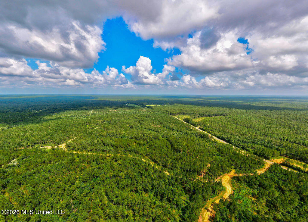 Nhn Lot 9 Bethel Road Property Photo 52