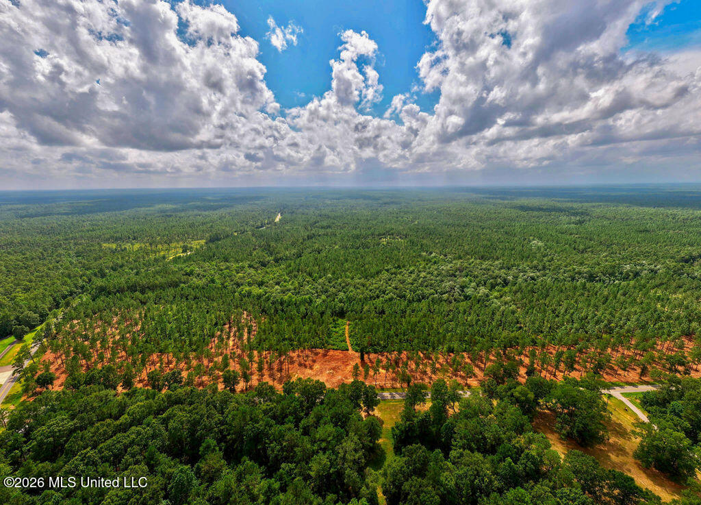 Nhn Lot 9 Bethel Road Property Photo 63