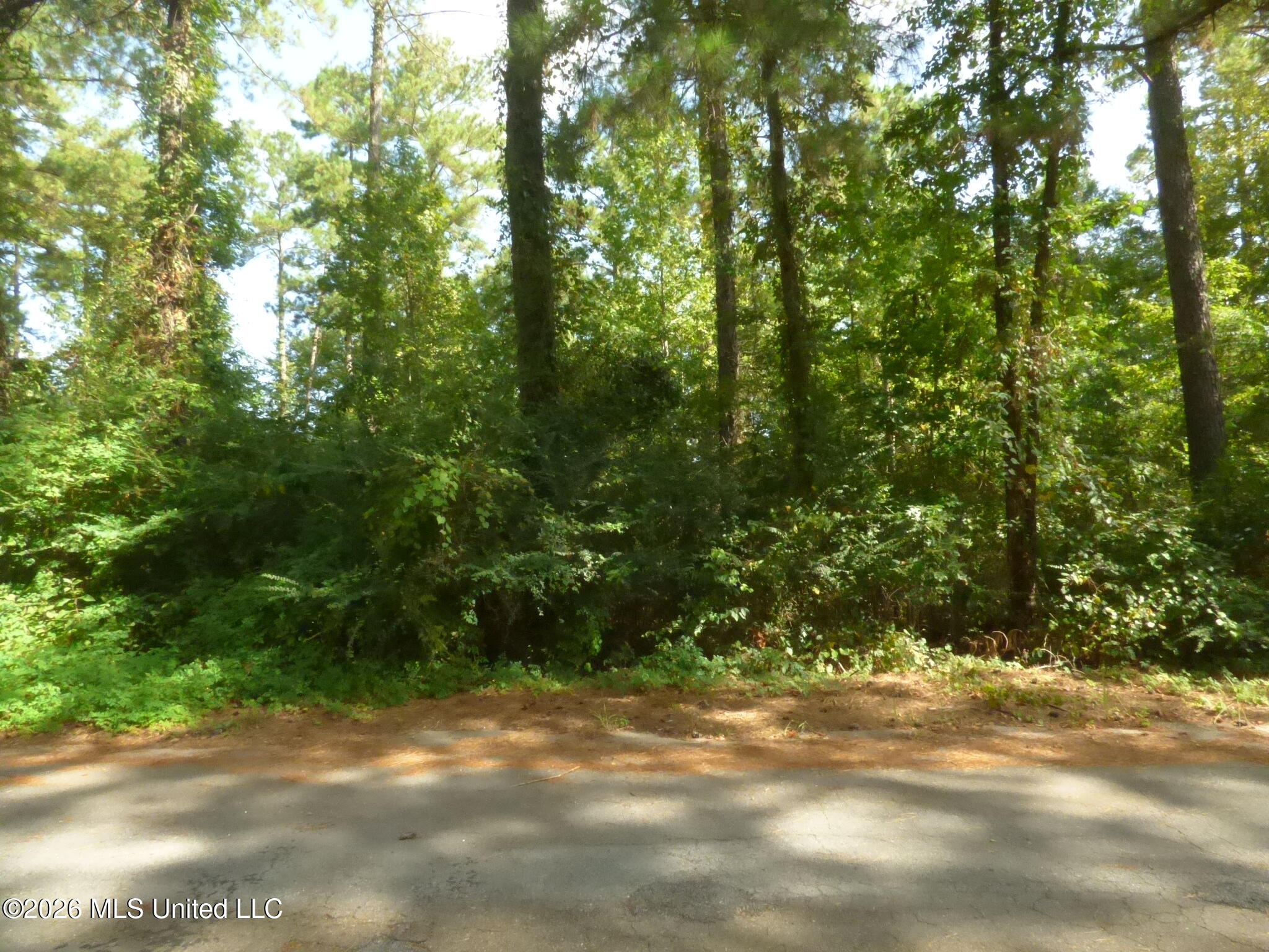 Cedar Drive Property Photo 1