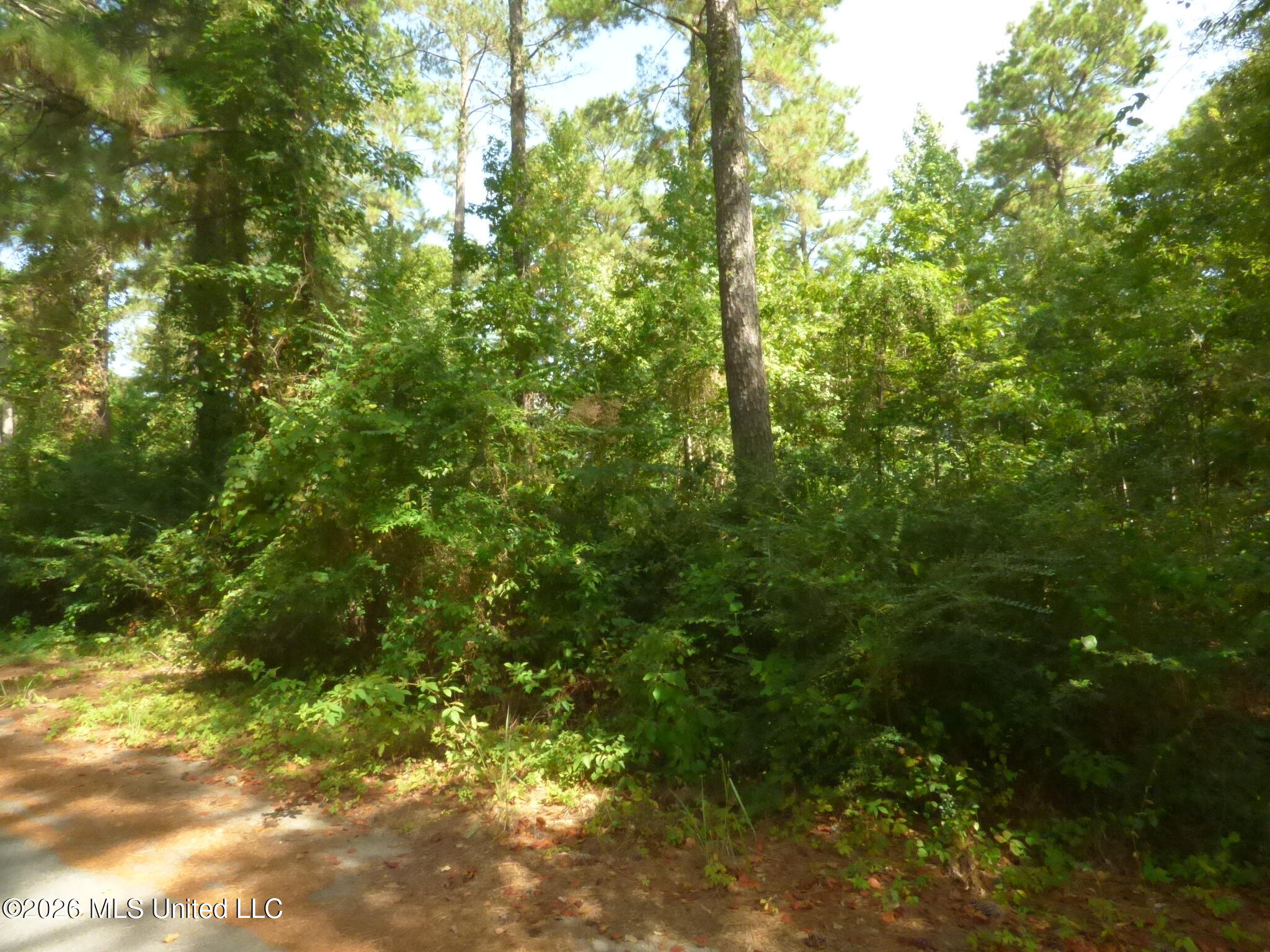 Cedar Drive Property Photo 2